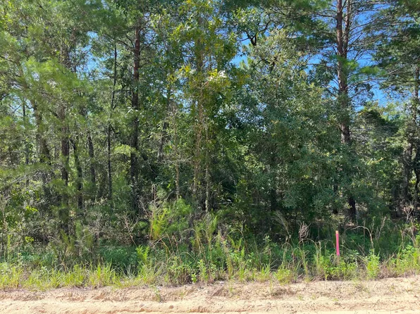 (undisclosed Address), Interlachen, FL 32148