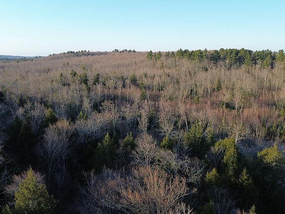 4th image of M7L31 Nelson Ridge Road N