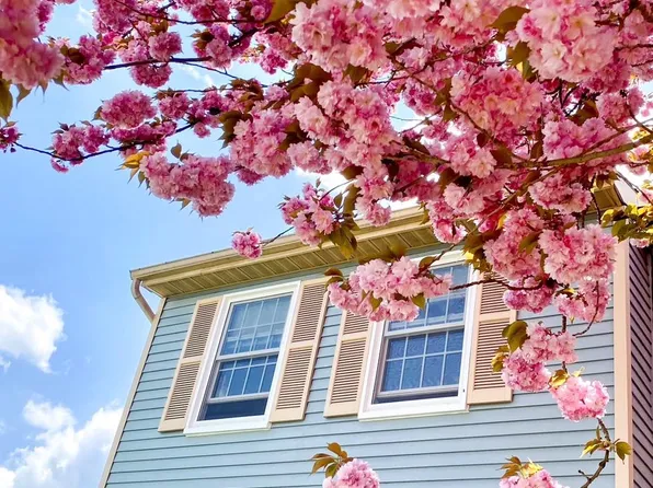 1291 Elm Grove Cir, Silver Spring, MD 20905