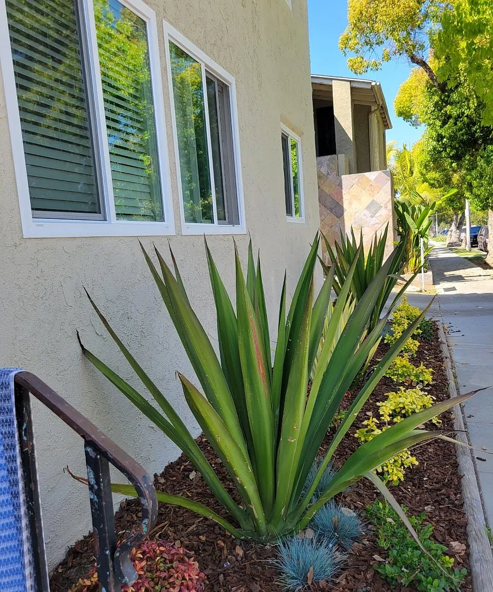 1401 Gaviota Ave — Photo 3