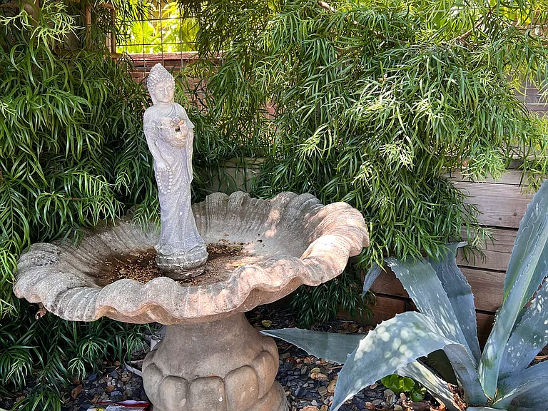 Side yard
