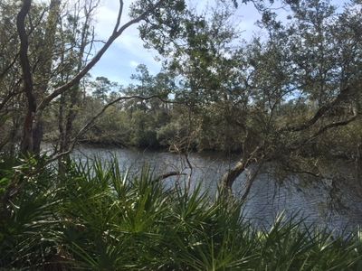 Xxx Gertie Brown Rd, Sopchoppy, FL, 32358