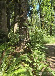 31121 403rd Drive NE, Arlington, WA, 98223