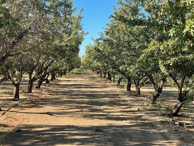 Por #SEC13T13N-R2W, Arbuckle, CA, 95912