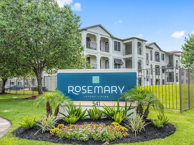 Rosemary — Photo 13