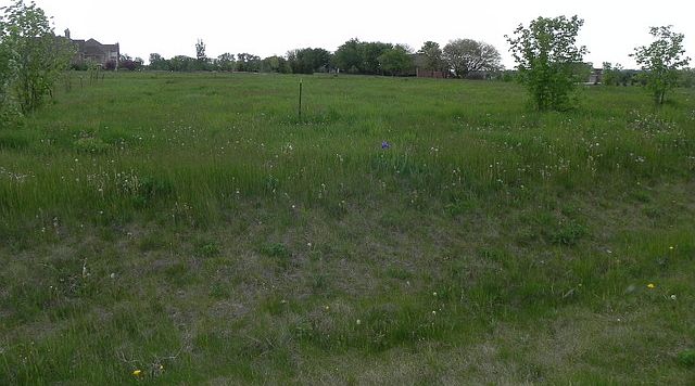 2nd image of Lot 15 Blackberry Crossing