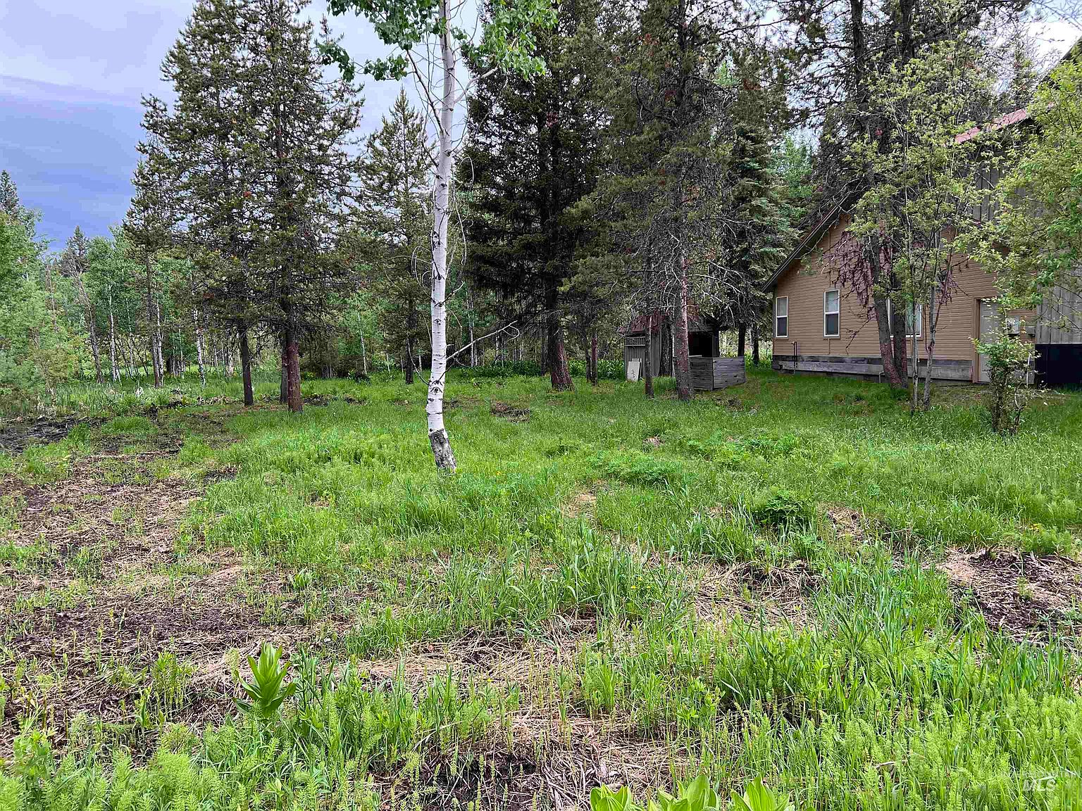 905 Camas Pl, Mccall, ID 83638 MLS 98880316 Zillow