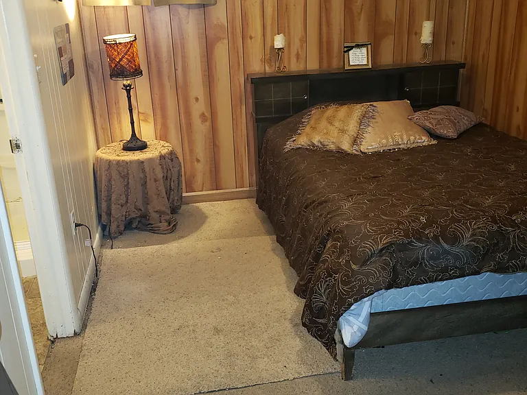 Downstairs bedroom