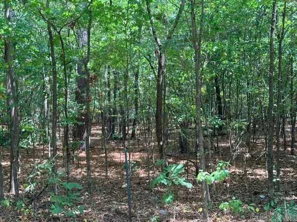 0 McCurdy Rd, Benton, AR 72019