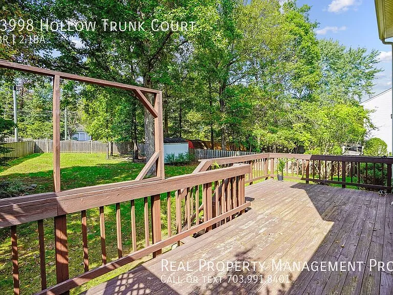 13998 Hollow Trunk Ct — Photo 14
