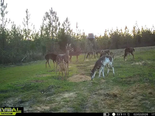 0 Autumn Rd, Malone, FL 32445
