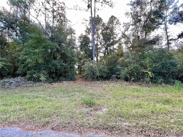 11908 & 11910 N Monica Dr, Dunnellon, FL 34433