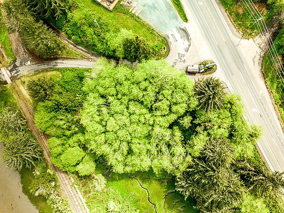 5th image of 32456 Highway 101 N