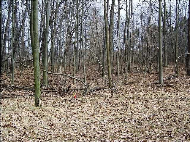 2nd image of 4319 Woodside Meadow Ct Lot 7