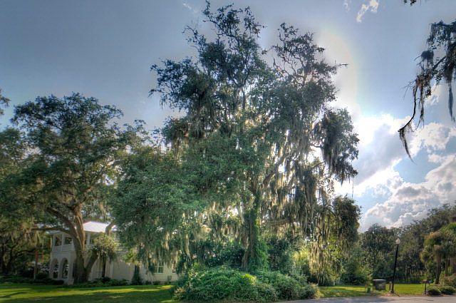 1st image of 47 Frederica Oaks Ln
