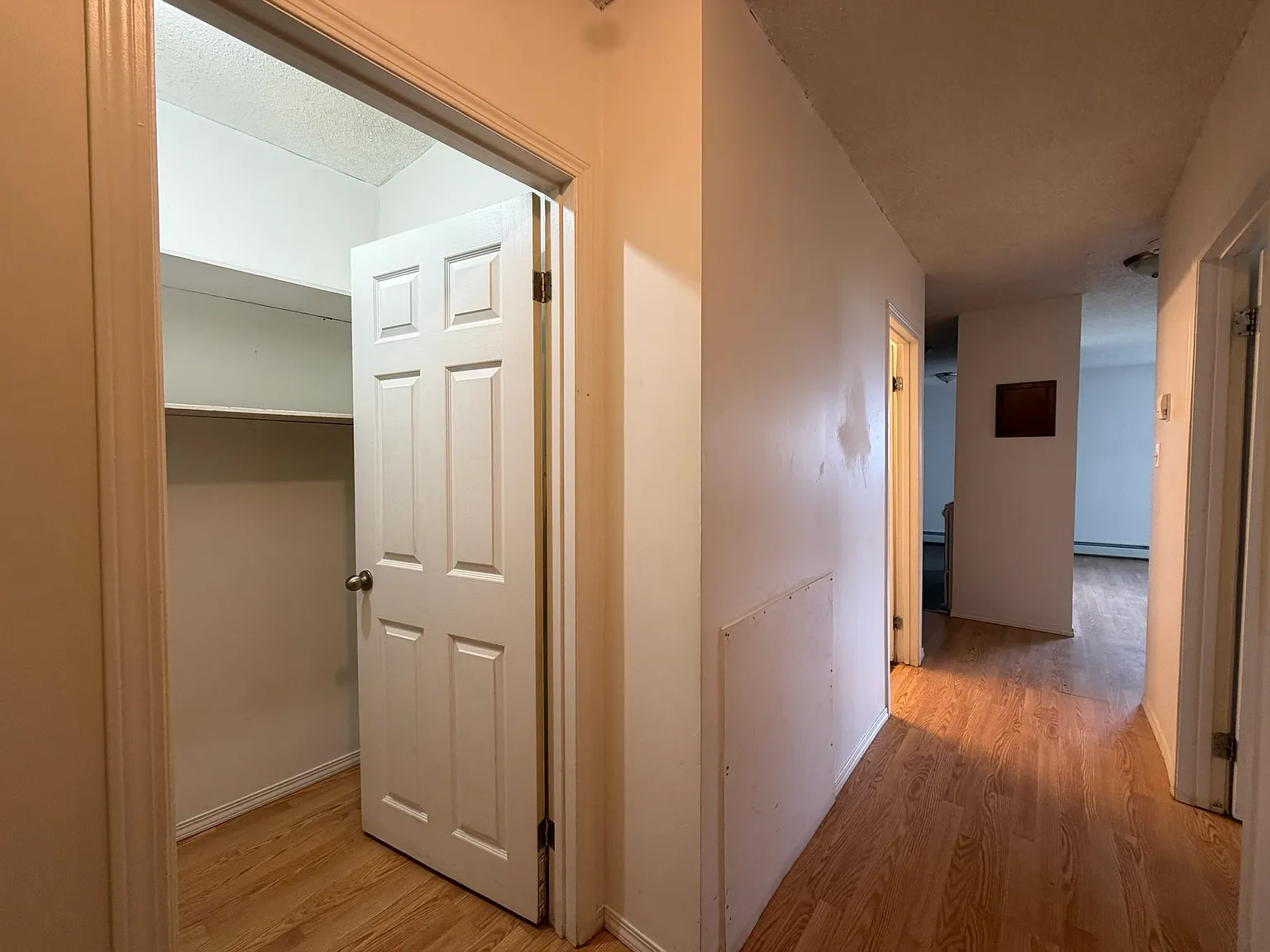 2 bed, 1.0 bath, 600 sqft, $1,200 — Photo 3