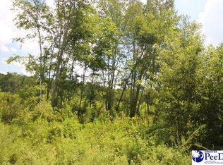 224 Sweeney Rd, Chesterfield, SC 29709