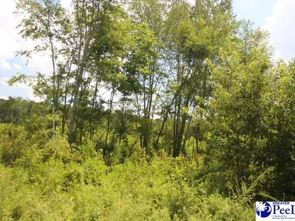 224 Sweeney Rd, Chesterfield, SC 29709