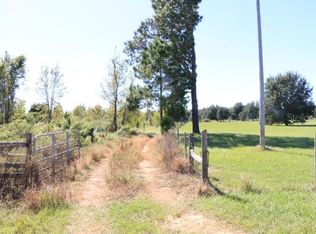 11307 Carter Island Rd LOT 700, Groveland, FL 34736