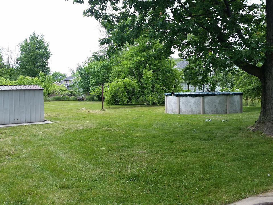 Back yard view