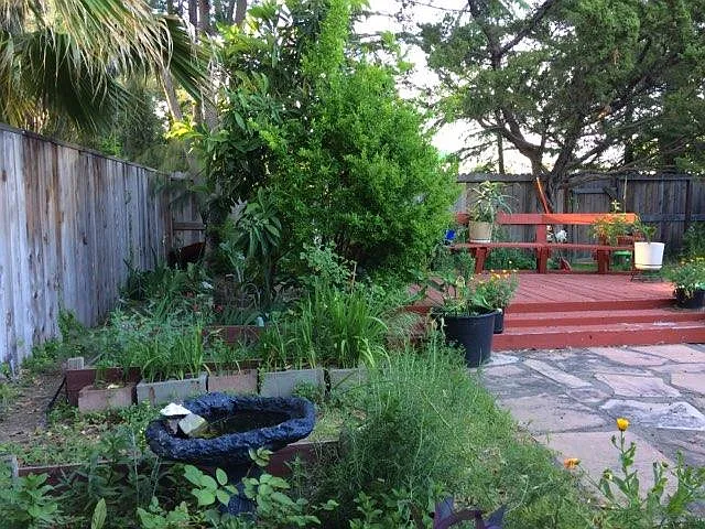 225 Lindo Pl — Photo 13
