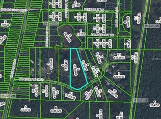 35415 Ranchette Blvd, Webster, FL 33597