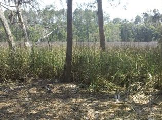 58 Salt Marsh Ct, Brunswick, GA 31523