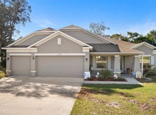 11380 Regent Ln, Spring Hill, FL 34609