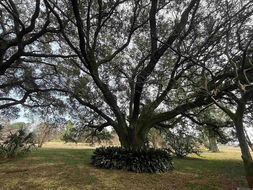 1st image of 3912 Addis Ln