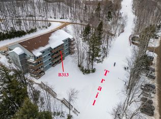 8 Moonstruck Drive #B303, Newry, ME 04261