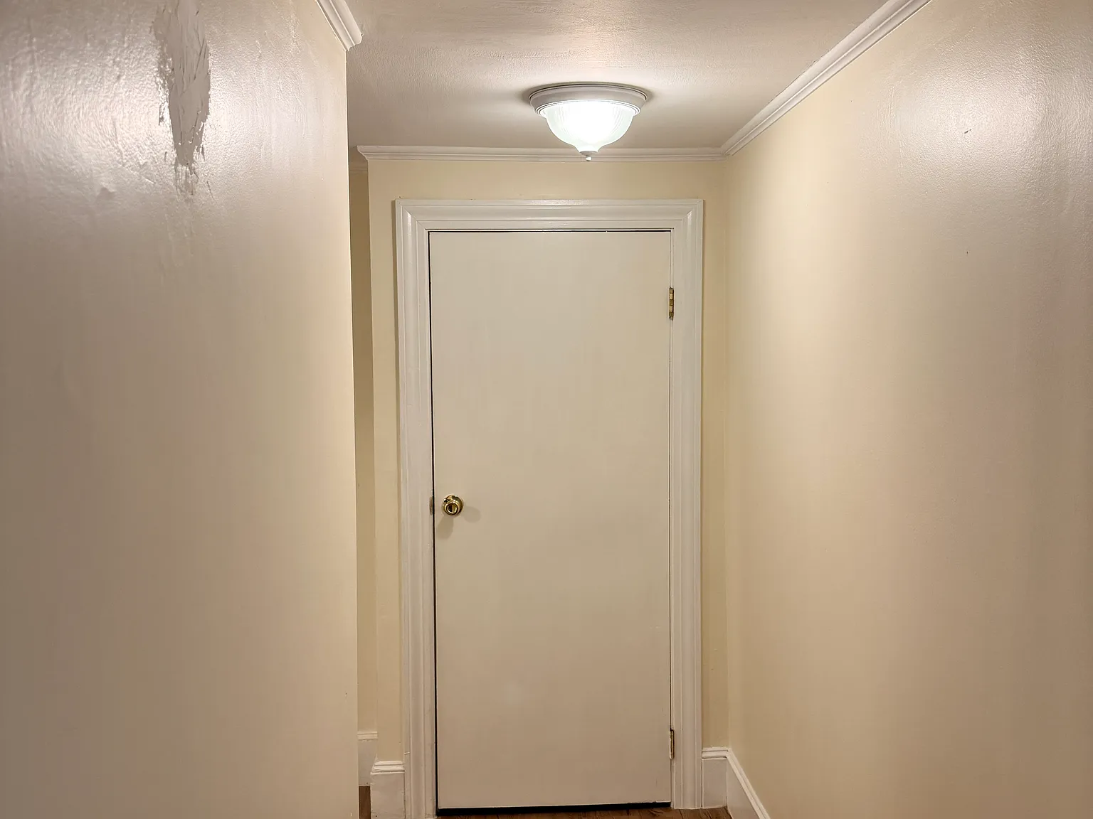 3 bed, 1.0 bath, $3,000 — Photo 4