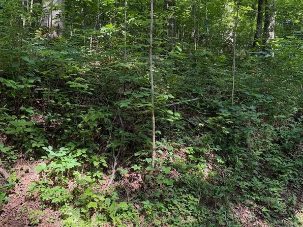 19 Parker Farm Rd, Franklin, NC 28734
