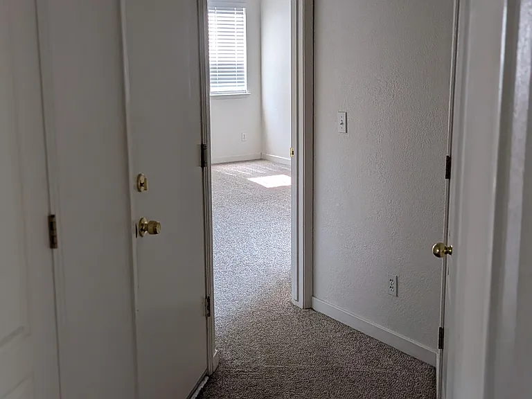 10625 N Sea Shell Cv — Photo 14