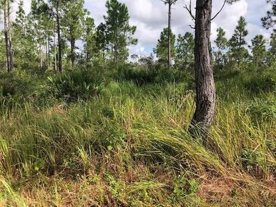 8000 Carillo Dr, Sebring, FL, 33872