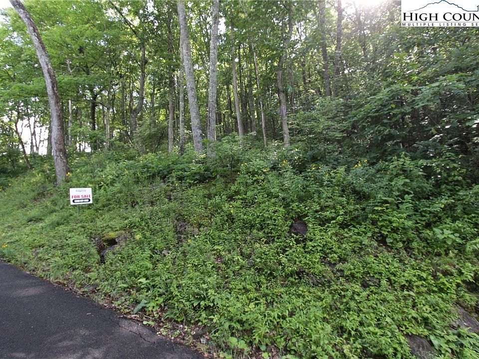 2nd image of TBD Big Tree Road