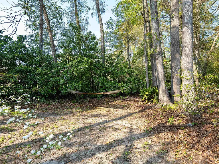 491 Frank Shaw Rd — Photo 52