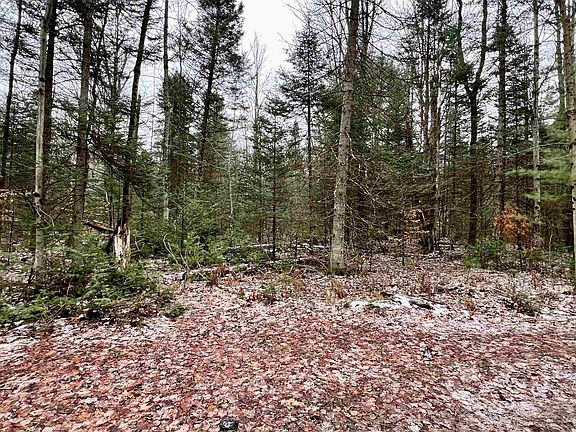 2nd image of S Thompsonville Hwy