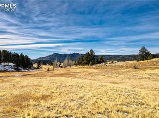 150 High Pasture Rd, Florissant, CO 80816