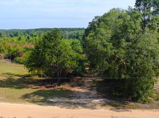 14.84 Old Elba Rd, Coffee Springs, AL 36318