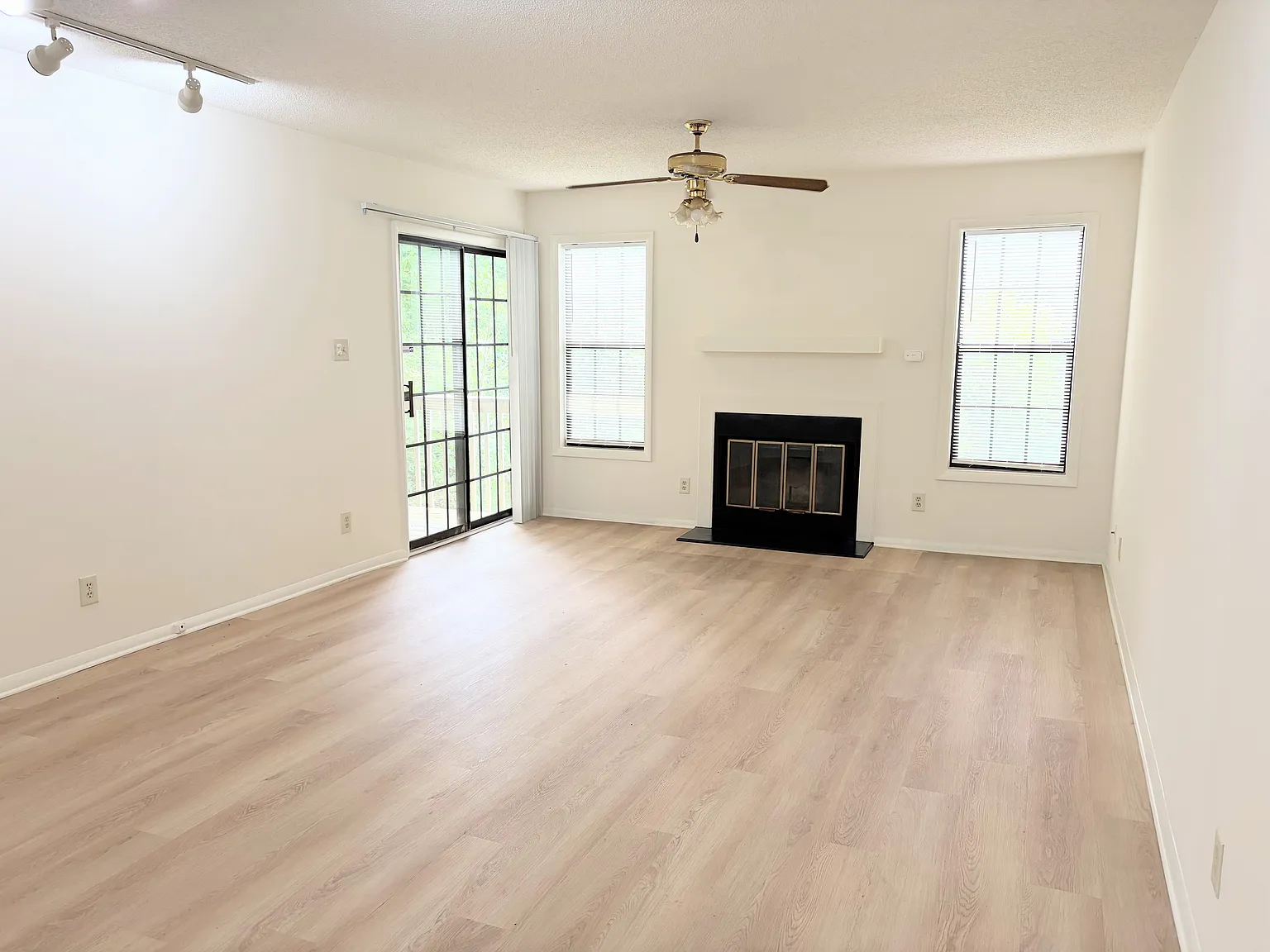 1 bed, $950 — Photo 4