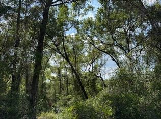 20 N Bradshaw Ter, Inverness, FL 34453