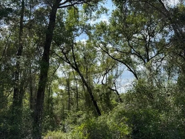 20 N Bradshaw Ter, Inverness, FL 34453