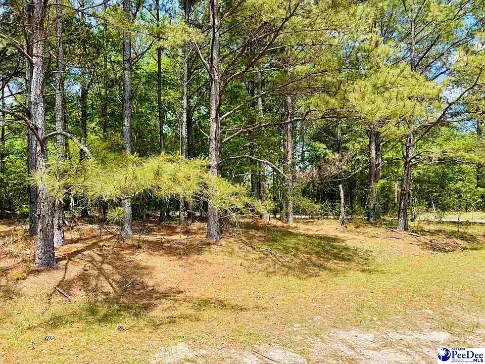 1st image of 385 Elbert Baskins Rd