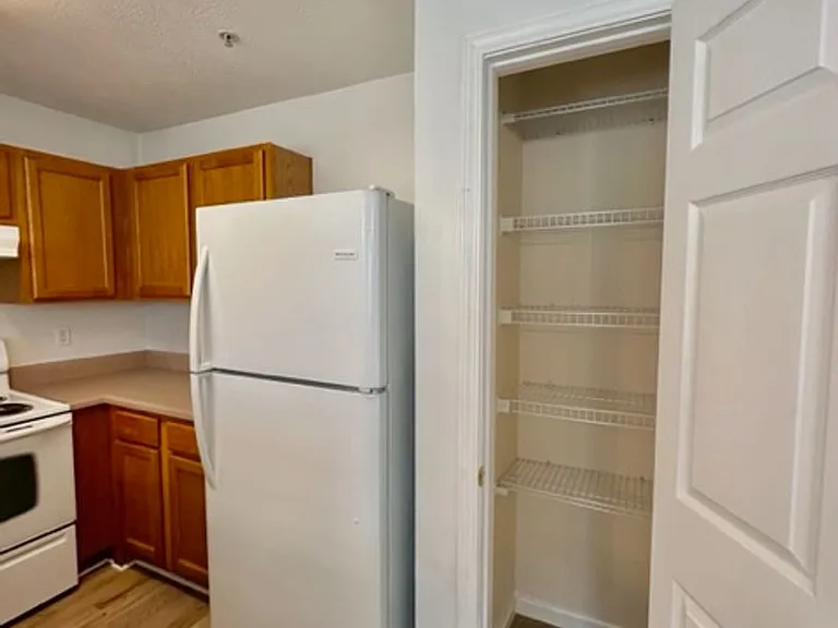 209 Swaying Pine Ct — Photo 7