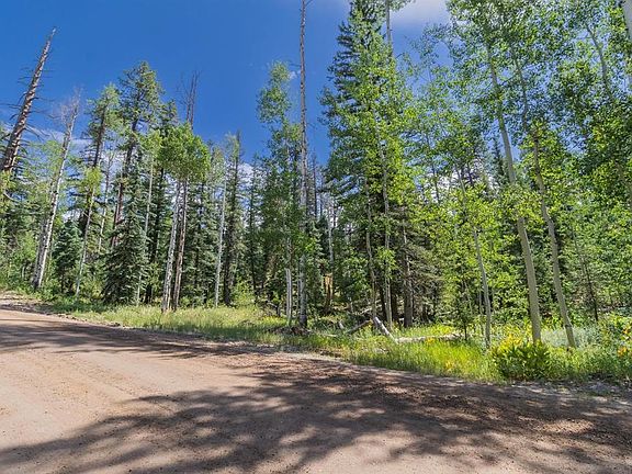 5th image of 1332 Lake Purgatory Drive