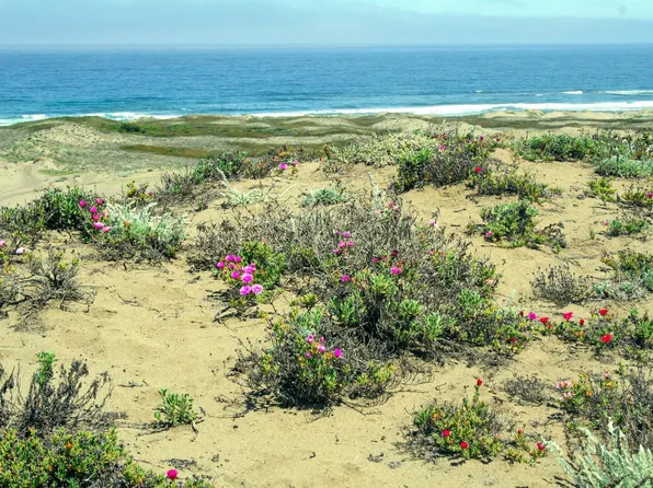 24938 N CA 1 Highway, Fort Bragg, CA 95437