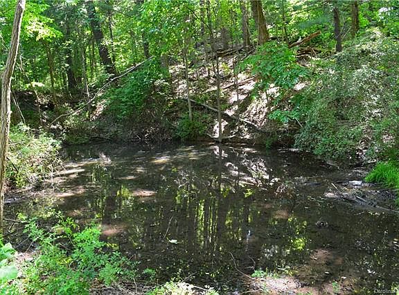 4th image of 181 Serenity Woods Ln