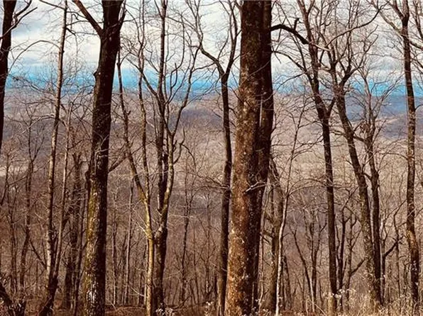 280 Big Stump Mountain Trl #1906, Jasper, GA 30143
