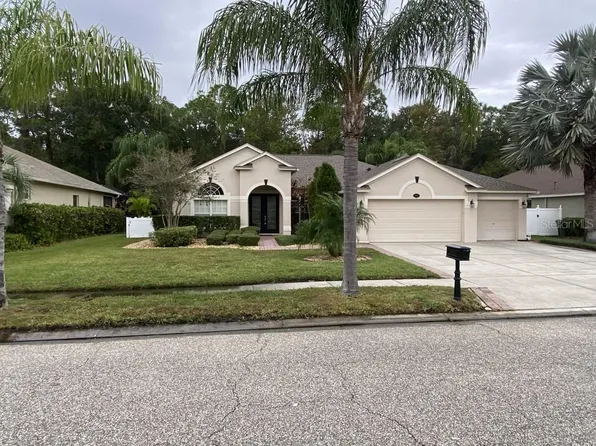 16132 Ivy Lake Dr, Odessa, FL 33556
