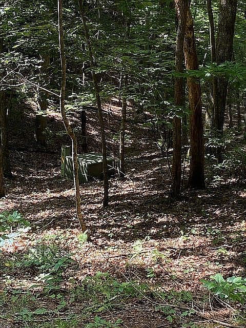 2nd image of 0 Roberts Rd